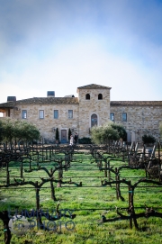 UnitedWinery_9830