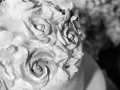 Luminary_Photo_Wedding_4043