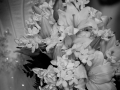 Luminary_Photo_Wedding_6614