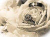 Wedding Photo 14_0273